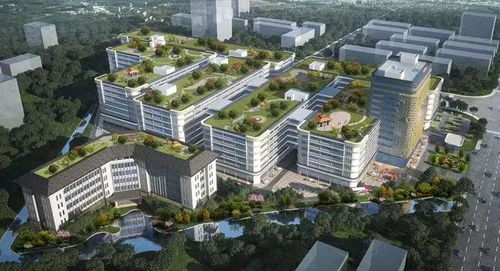 江門迎來企業投資熱潮，實業興城正當時